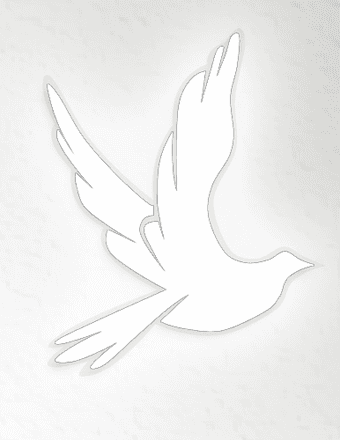 James E. LeRoy Obituary